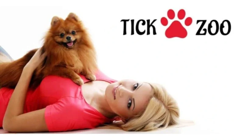 Tickzoo: Revolutionizing Digital Management with Versatile Features and Seamless Integration